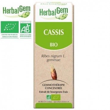 CASSIS MG 50ML