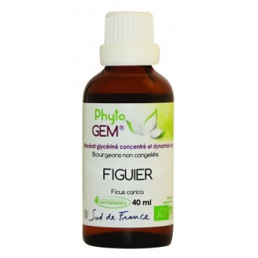 Figuier gemmo 40ml