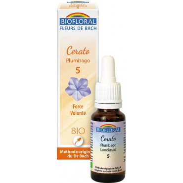 PLUMBAGO NØ5- 20ML