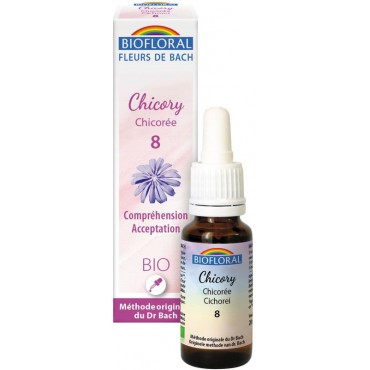 CHICOREE NØ8-20ML