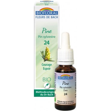 PIN SYLVESTRE NØ24-20ML