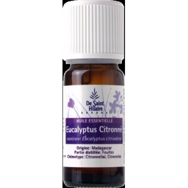 EUCALYPTUS CITRONNE 10ML