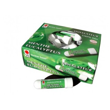 INHALATEUR MENTHE EUCALYP STICK (24) 1ML