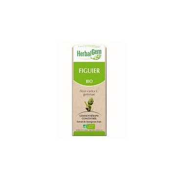 FIGUIER MG 50ML