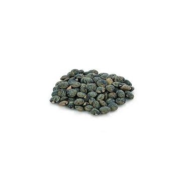 LENTILLES VERTES 500G VRAC