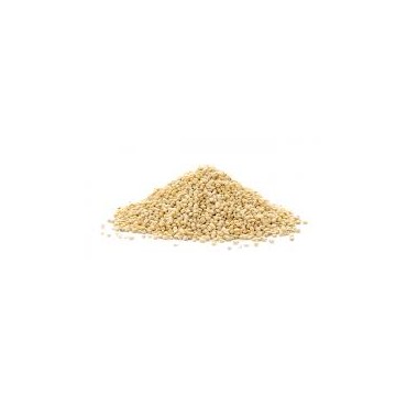 QUINOA BLANCHE 300G VRAC