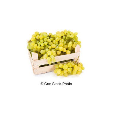 RAISIN BLANC CAGETTE 6 KG