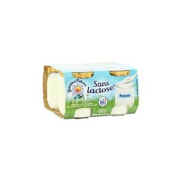 SPECIALITE LAITIERE NATURE SANS LACTOSE 4X125G