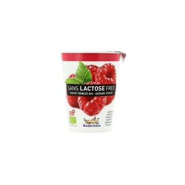 YAOURT FRAMBOISE SANS LACTOSE