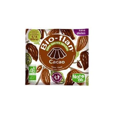 BIOFLAN CHOCOLAT SANS SUCRE 2X5.5G