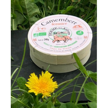 CAMEMBERT FERMIER AULNAYS 50%MG