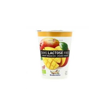 YAOURT MANGUE SANS LACTOSE 400G