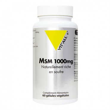 MSM 100MG 60GEL