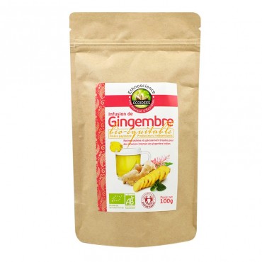 INFUSION DE GINGEMBRE 100G