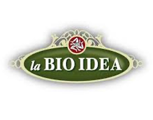 LABIOIDEA