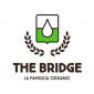 THE BRIDGE
